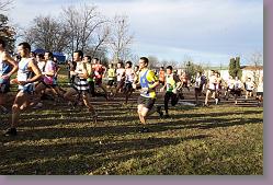 Begles 15.12.13 01 1016 * 679 x 453 * (166KB)